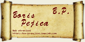 Boris Pejica vizit kartica